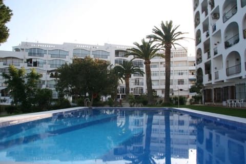 Garden, Garden view, Pool view, Swimming pool