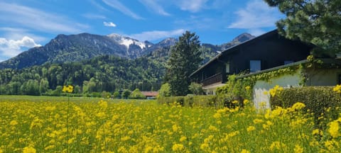 Ferienwohnung 1 Apartment in Grassau