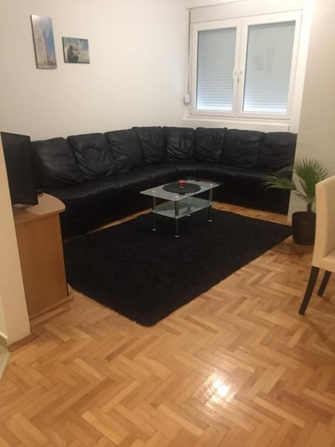 Apartman PEŠAČKA ZONA Apartment in Vojvodina