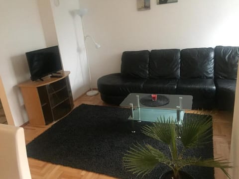 Apartman PEŠAČKA ZONA Apartment in Vojvodina
