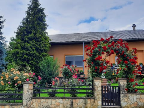 Property building, Day, Garden view