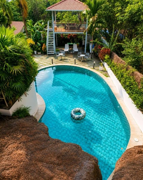 Day, Garden, Garden view, Pool view, Swimming pool