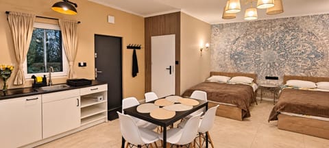 Bed, Kitchen or kitchenette, Living room, Seating area, Dining area, Bedroom