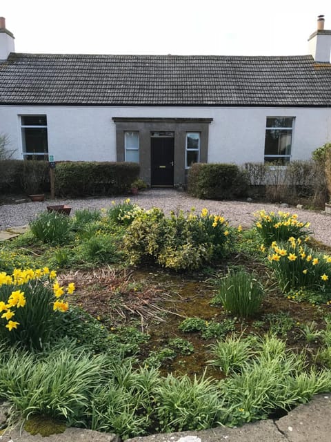 Balcony/Terrace, Balcony/Terrace
