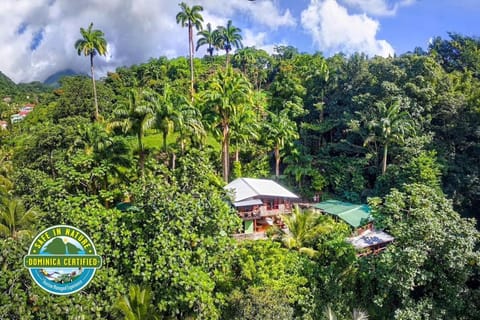 Property building, Bird's eye view