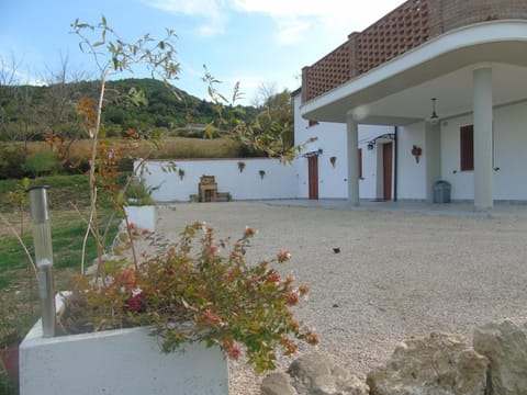 Patio, Facade/entrance