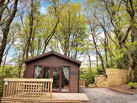 Woodland View -Hot Tub-Tenby-Carmarthen-St Clears Chalet in Wales