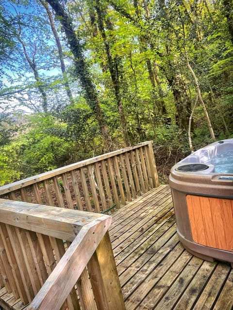 Woodland View -Hot Tub-Tenby-Carmarthen-St Clears Chalet in Wales