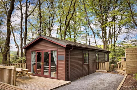 Woodland View -Hot Tub-Tenby-Carmarthen-St Clears Chalet in Wales