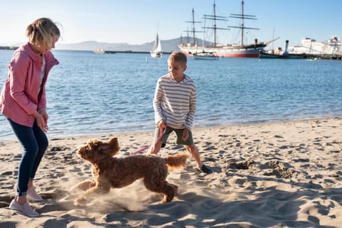 Beach, Pets, children, Family