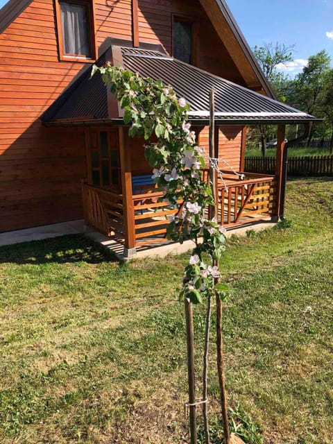 Apartmani Milekić Apartment in Zlatibor District, Serbia