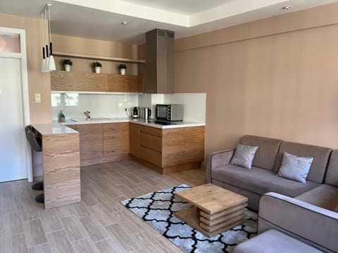 Kitchen or kitchenette, Living room, Seating area, dishwasher, stove