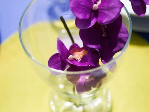 Quiet Bay Getaway Apt Mona 5 7 and 8 Vacation rental in Šibenik-Knin County, Croatia