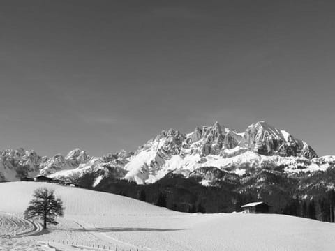 APARTMENTS Pension Foidl Apartment in Salzburgerland