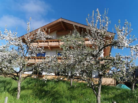 Property building, Spring, Day, Natural landscape