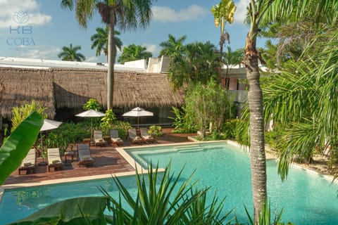 Day, Garden, Garden view, Pool view, Swimming pool, sunbed
