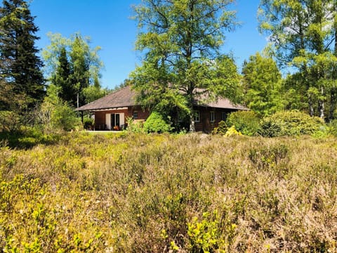 Property building, Natural landscape, Garden