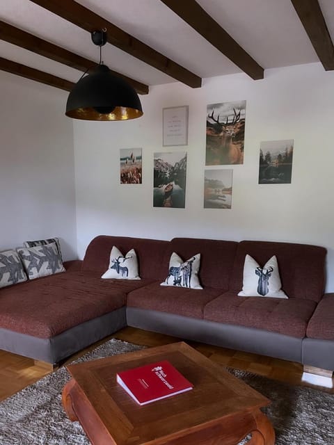 Ferienhaus Rose mit Sauna und HS-Card - Greschuk Apartments Apartment in Schluchsee