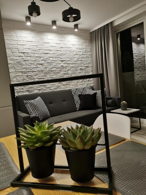 Apartament w Choczewie Apartment in Pomeranian Voivodeship