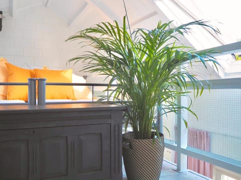 Studio ter Duyn Apartment in Ouddorp