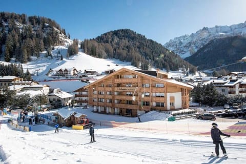 Property building, Natural landscape, Winter