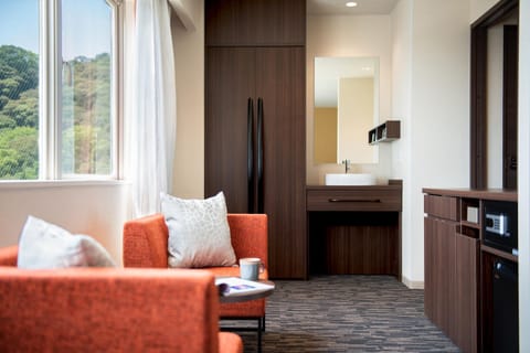 Photo of the whole room, Mountain view