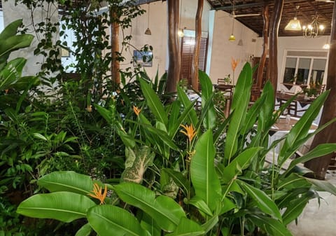 Garden view