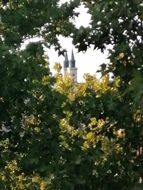 Nearby landmark, Natural landscape