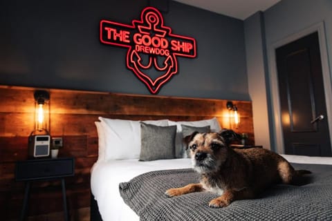 BrewDog Kennels - Aberdeen Hotel in Aberdeen