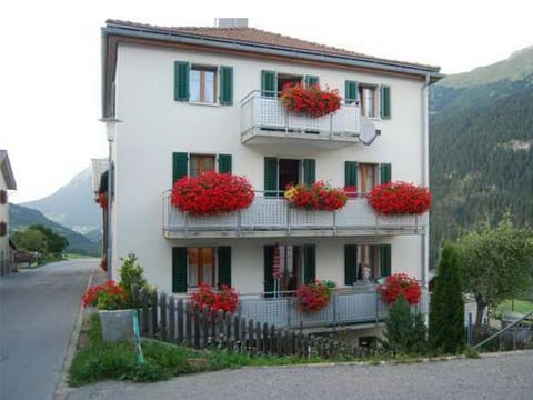 Property building, Day, Garden