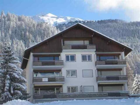Property building, Winter