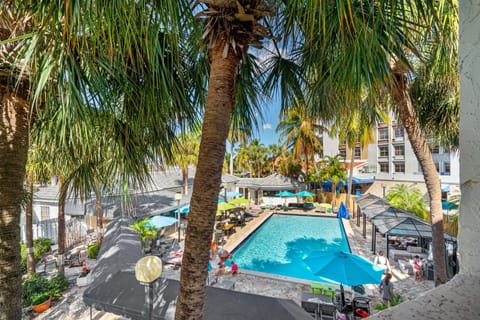 Day, Pool view, Swimming pool, sunbed