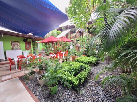 Patio, Garden