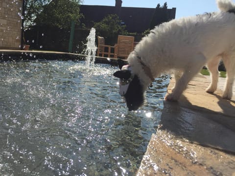 The Starting Gate, Bruton Apartment in Bruton