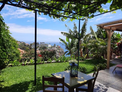 Patio, Garden, Garden view