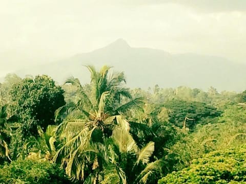 Natural landscape, Garden view