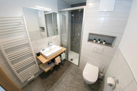 Shower, Toilet, Bathroom, Bathroom, towels