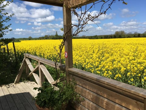 View (from property/room), Area and facilities