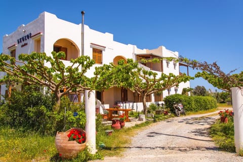 Property building, Day, Garden, Garden view