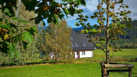 Property building, Spring