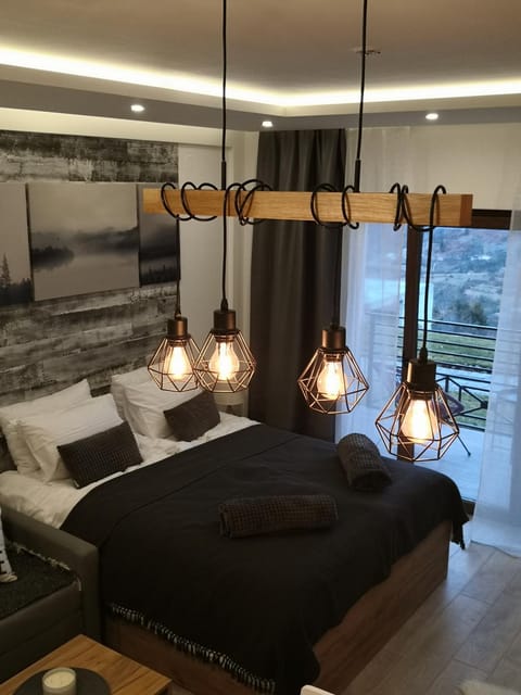 Bed, Kitchen or kitchenette, Living room, Photo of the whole room, Seating area, Bedroom