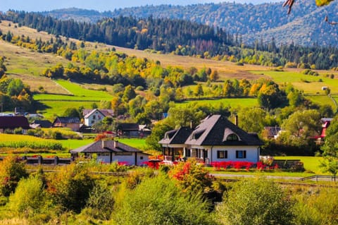 Natural landscape, Bird's eye view
