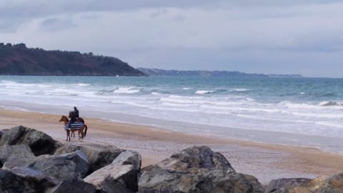 les mouettes Apartment in Plérin