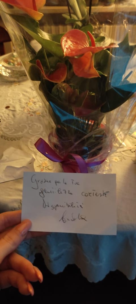 B&B Ammore Bed and Breakfast in Castellammare di Stabia