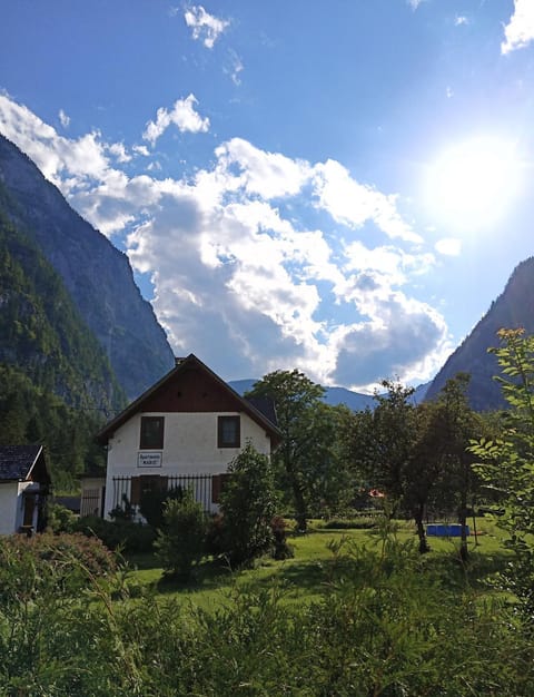 Apartments Marie B Apartment in Hallstatt