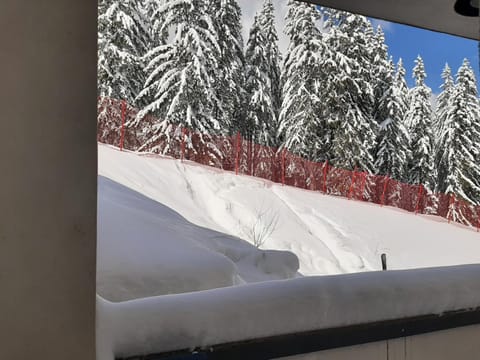 Ski 'Inn Monastery 3 Ski-to-Door Apartment in Decentralized Administration of Macedonia and Thrace