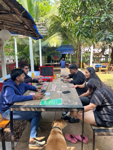 Day, People, Garden, group of guests