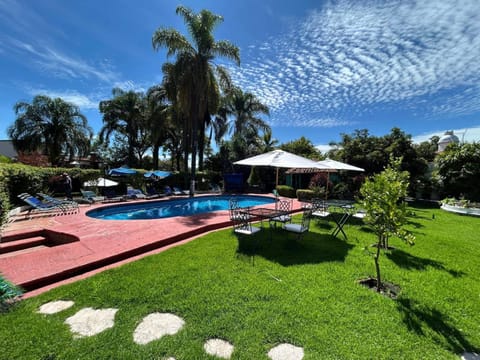 Garden, Garden view, Pool view, Swimming pool