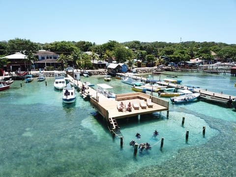 Beach, Diving, Swimming pool