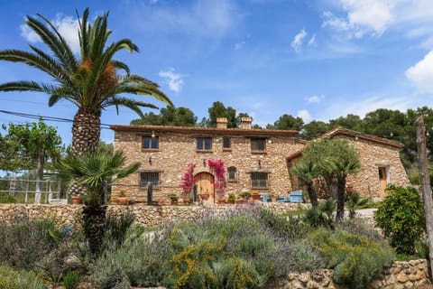 Property building, Spring, Day, Garden